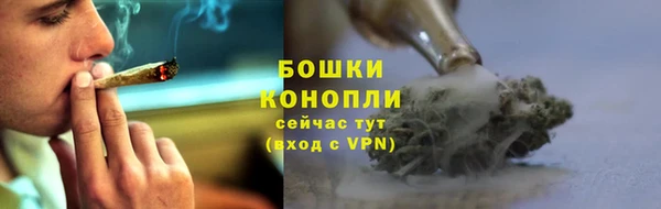 прущие грибы Зеленокумск