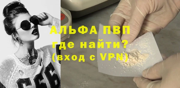 прущие грибы Зеленокумск