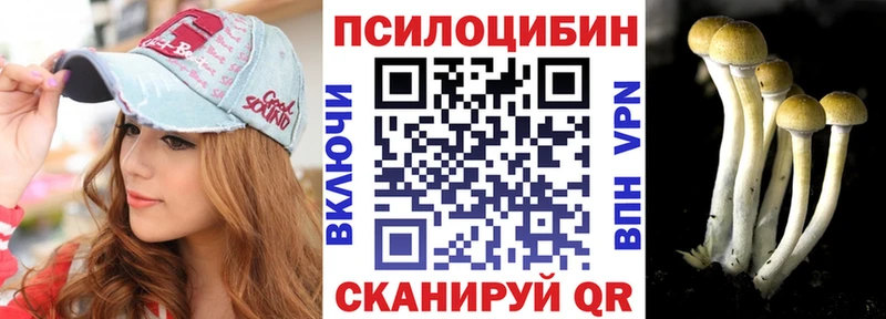 Псилоцибиновые грибы Psilocybine cubensis Купить где Спас-Клепики